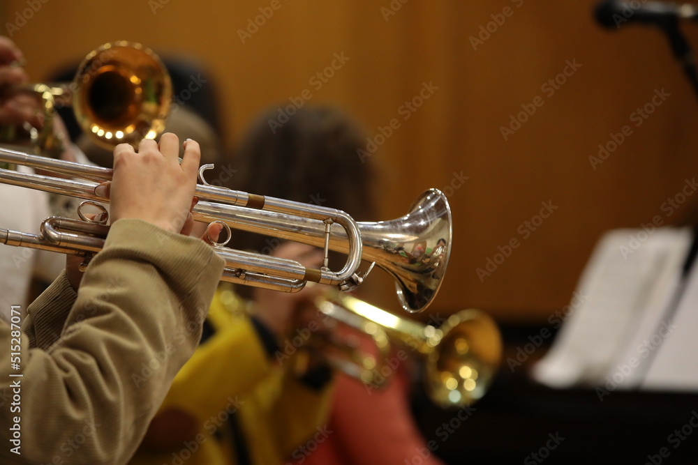 Obraz premium Musician playing the trumpet in a brass jazz orchestra musical instrument close up