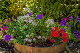 Colorful flowers in a pot in a garden. Summer flowers in ornamental plant. Street photo