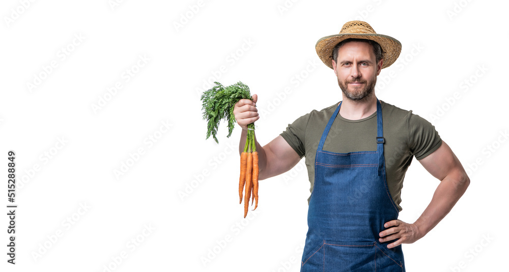 greengrocer in apron and hat with carrot vegetable isolated on white. copy space