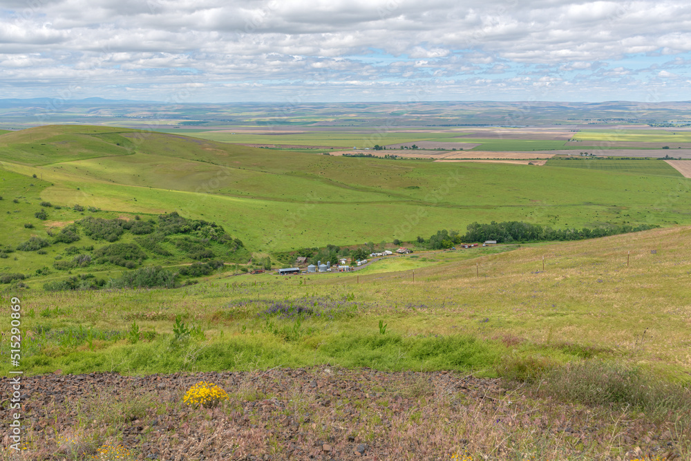 Naklejka premium Eastern Oregon farmlands and landscape.