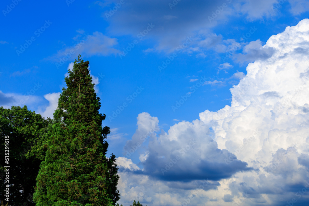 夏の青空と雲 7月 夏の青空と雲 7月
