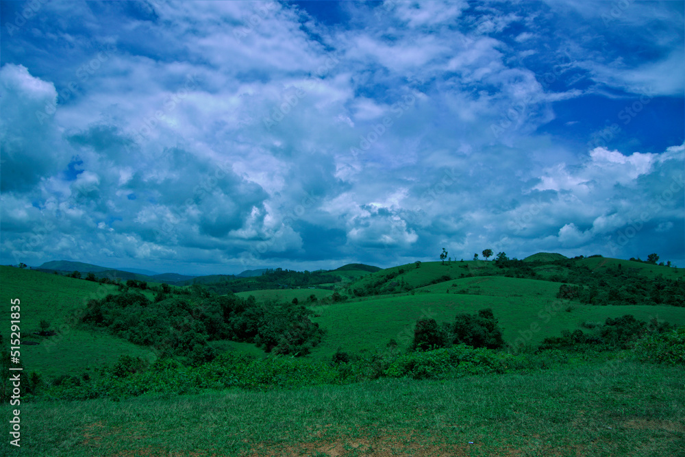 Obraz premium Beautiful blue sky and grass field in wagamon 