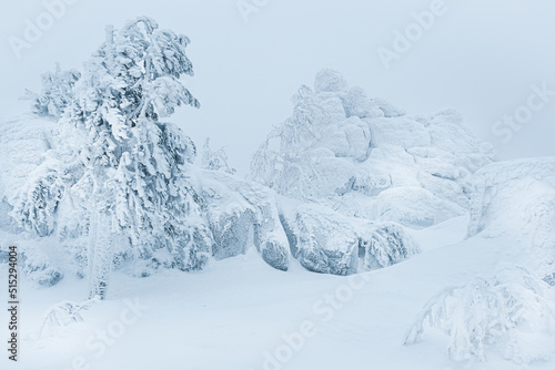 Rocks and trees are covered with snow. Winter forest in frost. Mountain cliff froze after snowstorm. Cold weather atmosphere