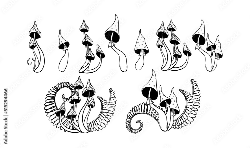 Hand drawn set of poisonous mushrooms, toadstools. Mystical boho witch  tattoo with fern leaves, dark magic and witchcraft design. Vector sketch  isolated on white background. Stock Vector | Adobe Stock