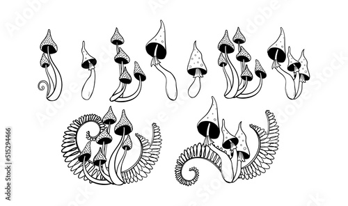 Hand drawn set of poisonous mushrooms, toadstools. Mystical boho witch tattoo with fern leaves, dark magic and witchcraft design. Vector sketch isolated on white background.