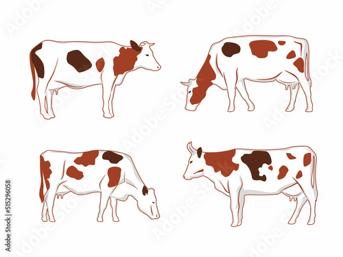 A set of different cows. Spotted cows graze. Vector graphics for packaging. Dairy theme