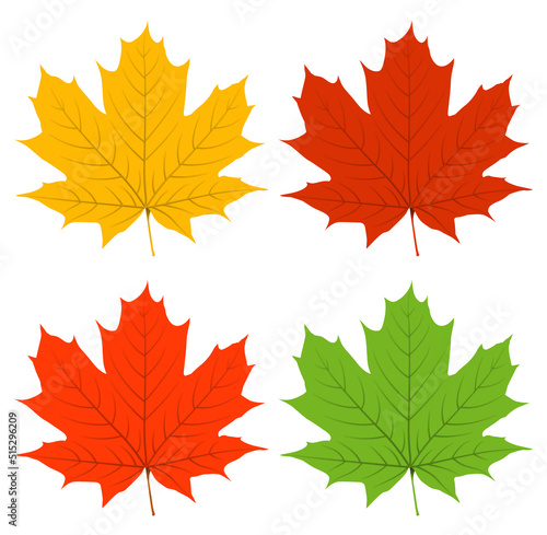 maple leaf in four different colours