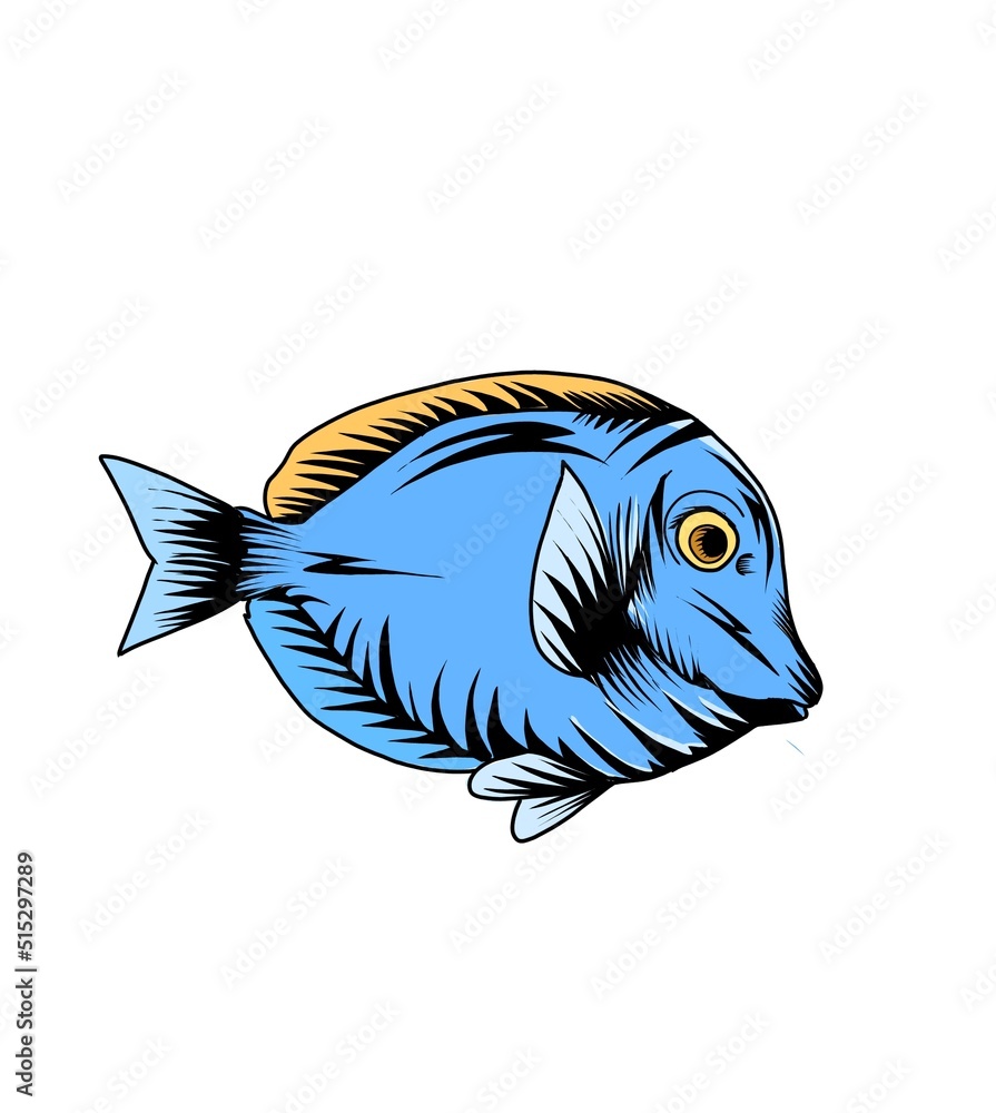 Obraz premium fish isolated on white background