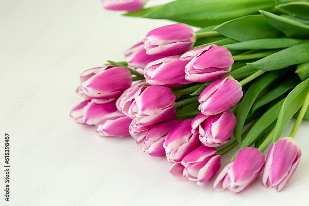 A big bouquet of beautiful pink tulips lies on a white background . copy space A big bouquet of beautiful pink tulips lies on a white background . copy space