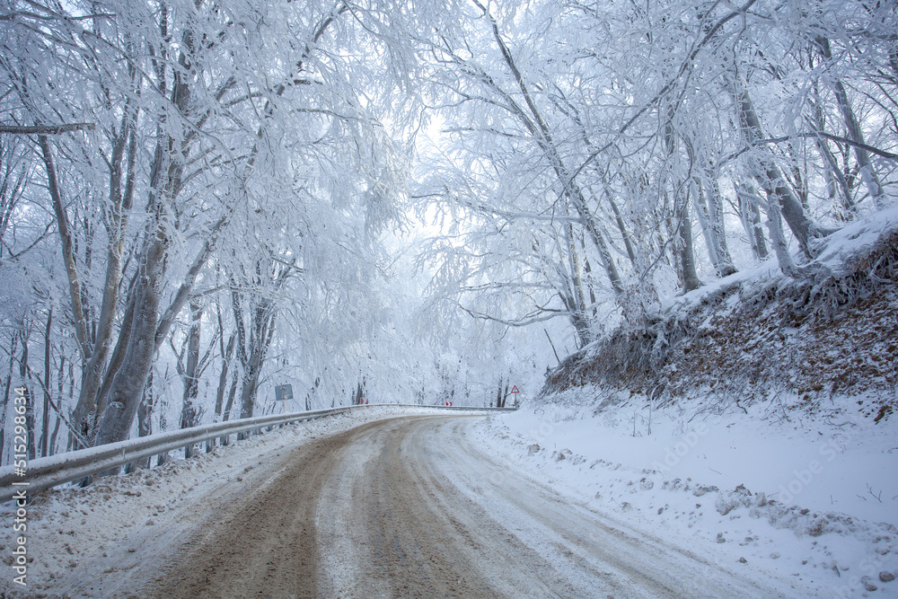 Road in Sabaduri forest with covered snow. Winter time. Landscape Road in Sabaduri forest with covered snow. Winter time. Landscape