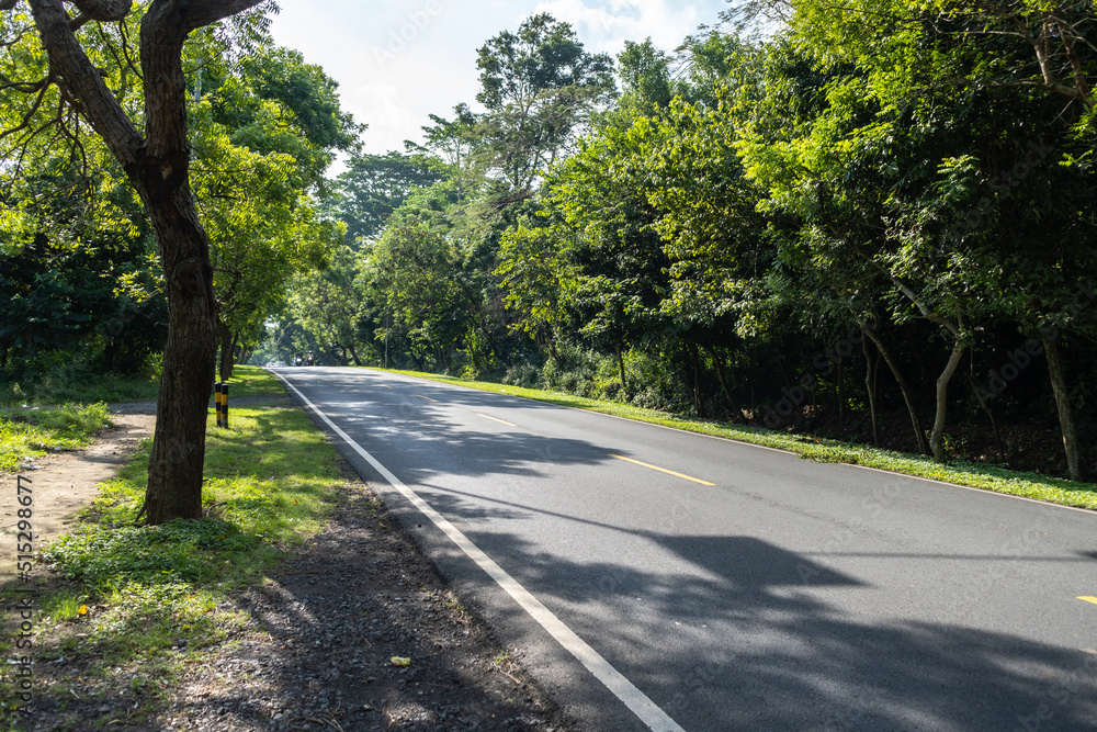 Obraz premium National highway through the wilderness.