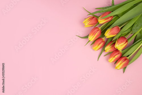 Tulips pink with yellow on a pink background, a postcard with a place for text, a template.The concept of a congratulation, invitation card, thank you card. High quality photo