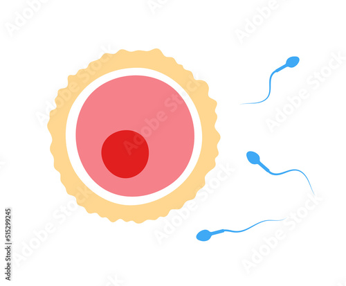 Human fertility