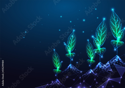 Concept of agrotechnology, smart sustainable farming with sprouts, seedlings field on dark blue