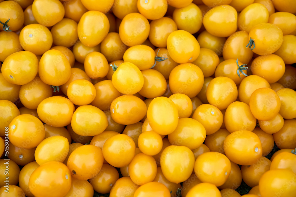 Yellow tomato background.Group of fresh tomatoes. High quality photo Yellow tomato background.Group of fresh tomatoes. High quality photo