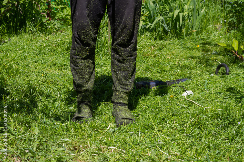 The legs are covered with pieces of grass from mowing grass with a trimmer The legs are covered with pieces of grass from mowing grass with a trimmer