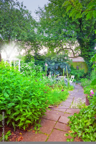 A view of a backyard of a house with the way to the garden. landscape garden flower with plants in a leisure backyard and trees on a summer day. Sitting area in the backyard with chair and table.