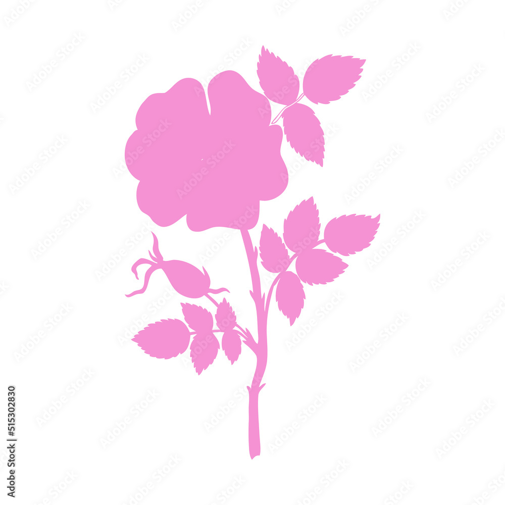 Wild rose, briar, hand drawn dogrose berry vector illustration isolated on white background, decorative rosehip colorful silhouette for design cosmetic, natural medicine, herbal tea, health food