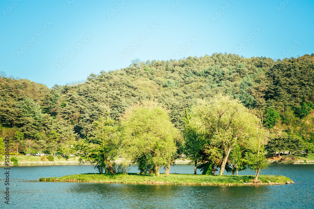 잔잔한 호수가 있는 아름다운 풍경