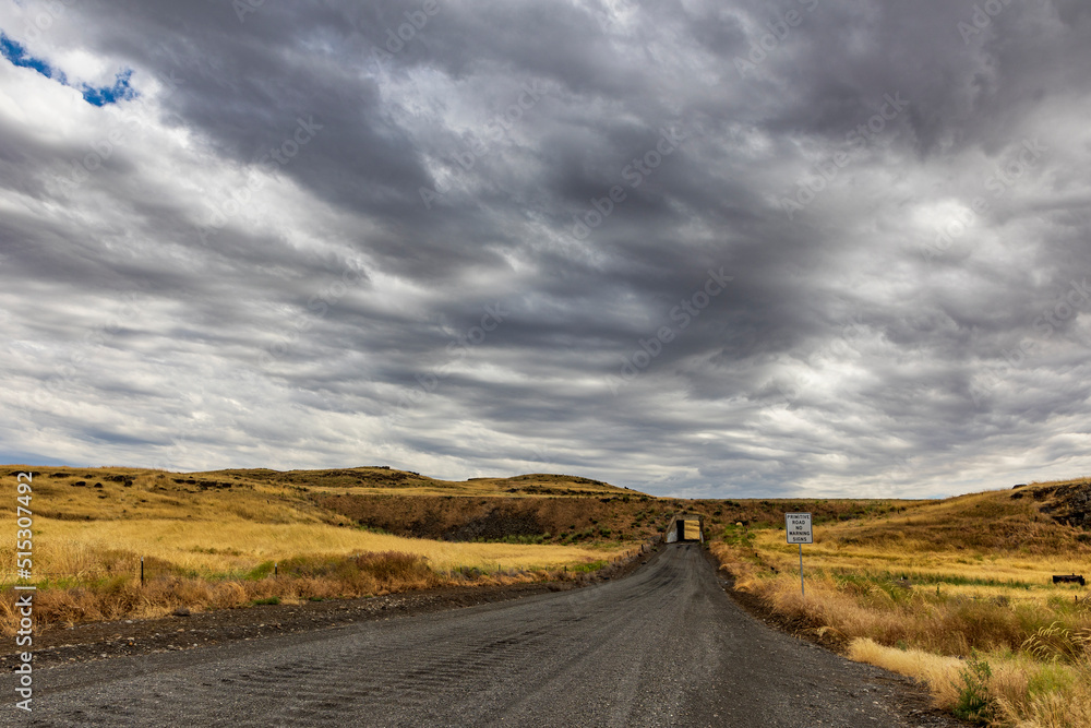 open gravel road on the country side under a cloudy sky and golden colored open grass field in east Washington.