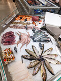 Squids, sea bass, shrimps, salmon lie in ice on the counter