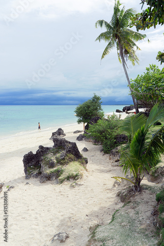 beach with palm trees