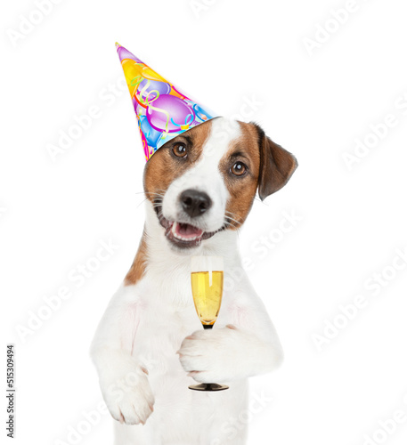 Funny Jack russell terrier puppy wearing party cap holds glass of champagne. isolated on white background © Ermolaev Alexandr