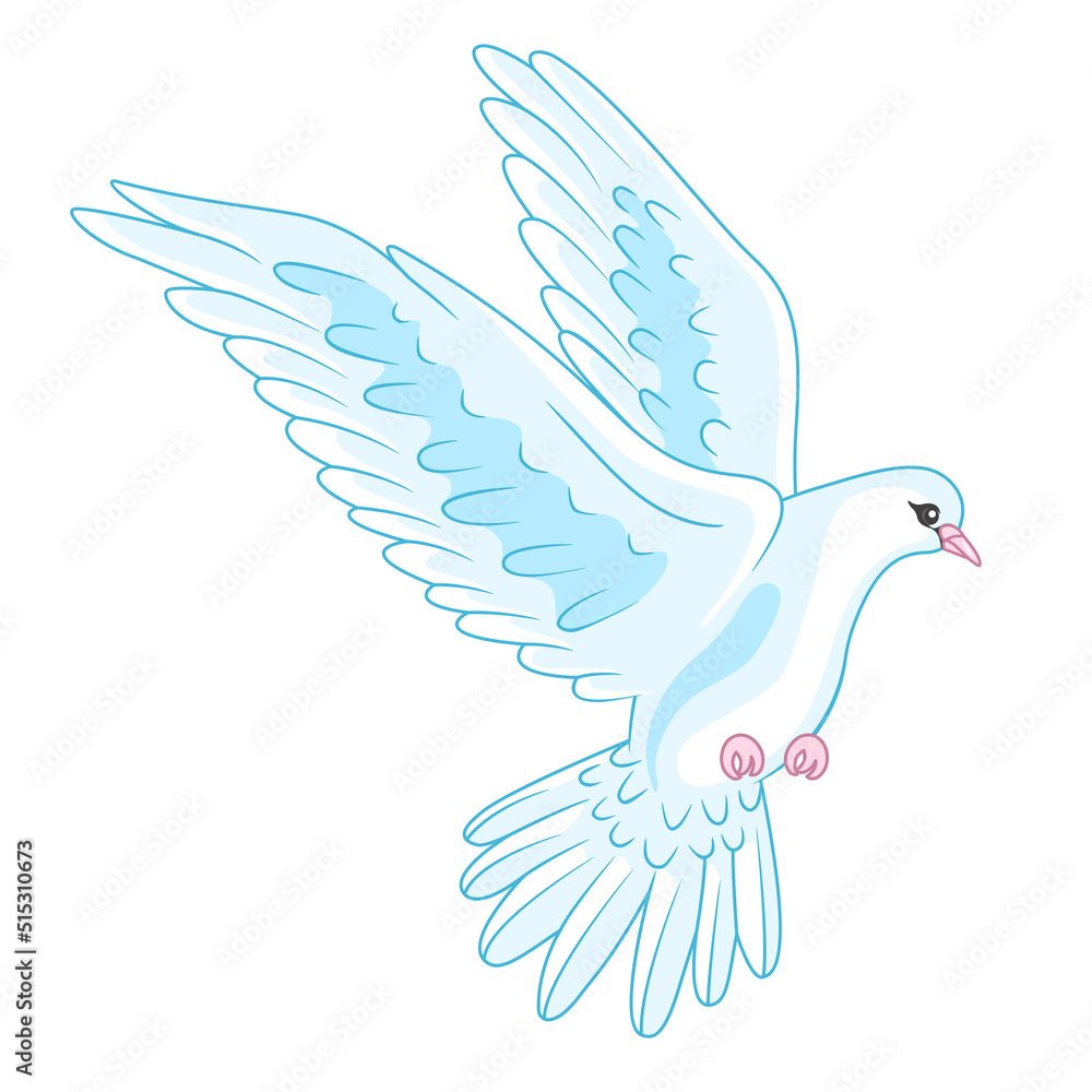 Fototapeta premium white flying Dove with Big wings