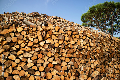 Stack firewood reserve for the winter