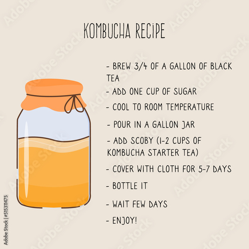 Kombucha fermented probiotic homemade drink recipe card. Tea mushroom brewing method. Healthy tea fungus drink guide with ingredients. Flat style hand drawn vector illustration.