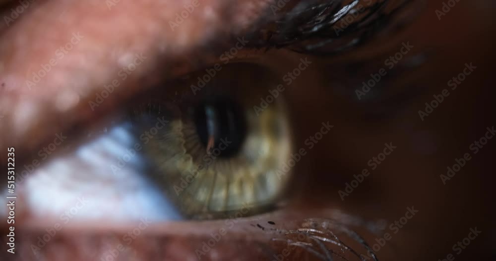 Gray green eye and opening pupil of iris of human eye Gray green eye and opening pupil of iris of human eye