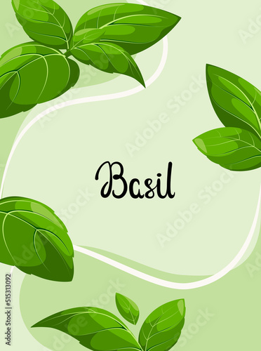 Poster with green basil. Herbs.