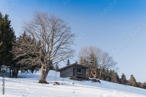 Log cabin shelter in the wild mountains at Ballon de Servance during winter in Vosges, France © Fabien