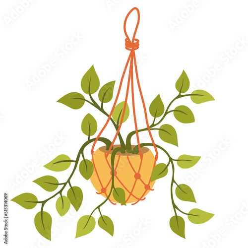 Potted house plant. Foliage houseplant growing in flowerpot. Green leaf decoration for home interior. Natural indoor decor. Hand draw vector illustration isolated on white background