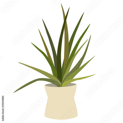 Potted house plant. Foliage houseplant growing in flowerpot. Green leaf decoration for home interior. Natural indoor decor. Hand draw vector illustration isolated on white background
