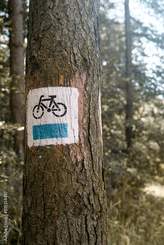 Bicycle route sign on a tree in the forest. Blue path cycling road sign in the woods on a trunk.