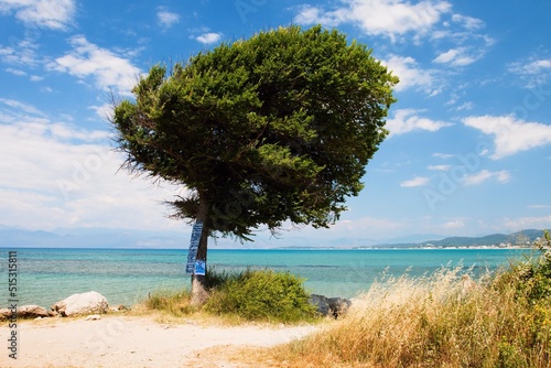 Roda, Greece, June 15, 2022, a lonely tree on the beach in the resort of Roda with a view of Albania. photo