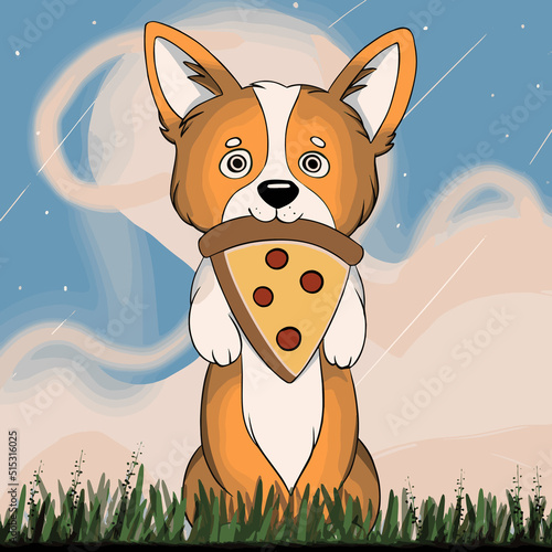 A cute corgi stands on its hind legs and has a piece of pizza in its mouth