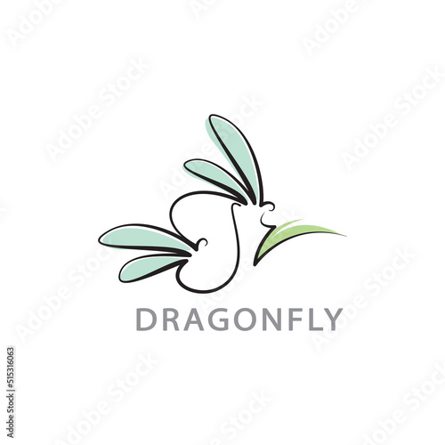 Beautiful Logo dragonfly vector