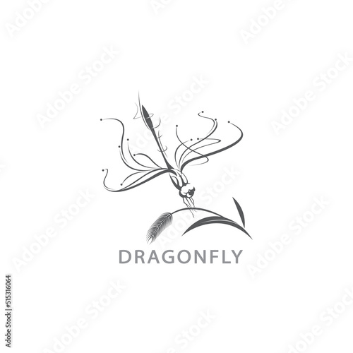 Beautiful Logo dragonfly vector