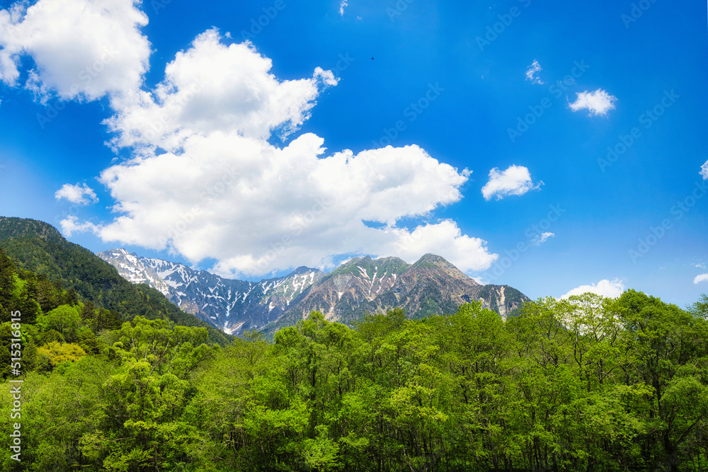 Fototapeta premium 長野県・上高地 天候に恵まれ、心地よい初夏の風を感じながら、光きらめく梓川の川べりを河童橋まで散策