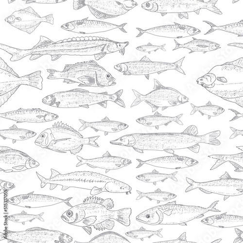 Seamless fish pattern. Collection of sketches of sea and river fish, engraved style.