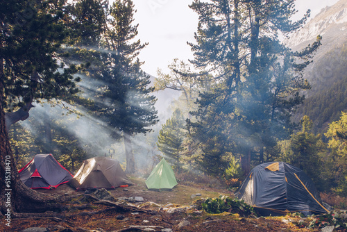 Camping tents in forest. Tourism concept, outdoors leisure. Life in a tent. Pine trees grove camping place stock photo