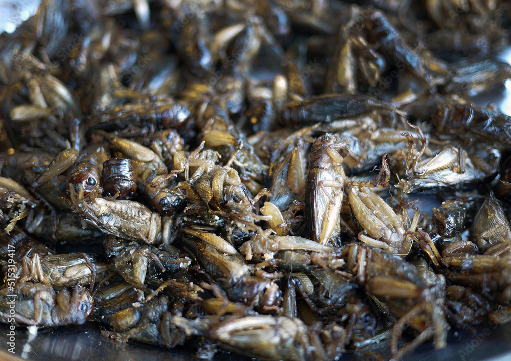 Close-up of deep fried insects as snack thai local food market Close-up of deep fried insects as snack thai local food market