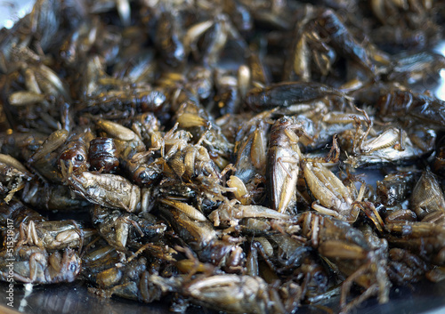 Close-up of deep fried insects as snack thai local food market