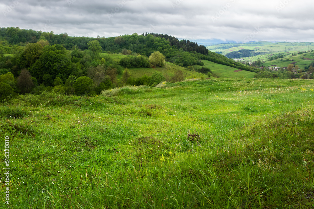 Obraz premium carpathian countryside landscape in spring. grassy meadows, rural fields and forested slopes on hills rolling off in to the distant village in the valley. overcast rainy weather above the ridge