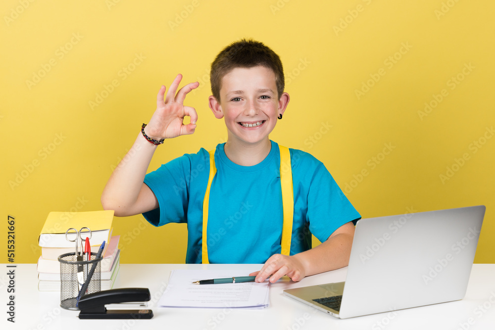 Cute schoolboy making ok sign with hand in front of laptop isolated on yellow background. Cute schoolboy making ok sign with hand in front of laptop isolated on yellow background.
