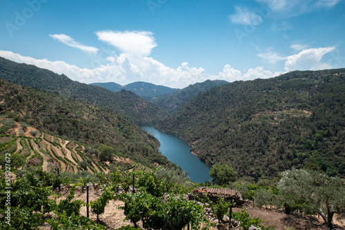Entre montes, montanhas, vinhas e algumas oliveiras, o rio Tua próximo à aldeia de Amieiro no concelho de Alijó, Portugal photo