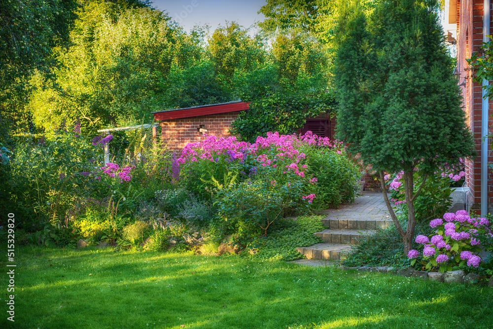 Landscape of pink flowers in lush backyard garden in summer. Purple ...