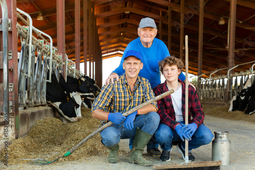 Successful elderly dairy farm owner with son and teen grandson posing together while working in stall with cows. Three generations of farming dynasty